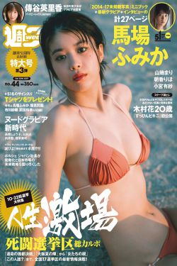 《野鸭子第二部》电视剧